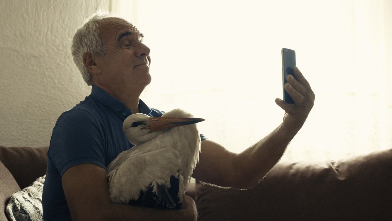 The Tale of Silyan (2025)