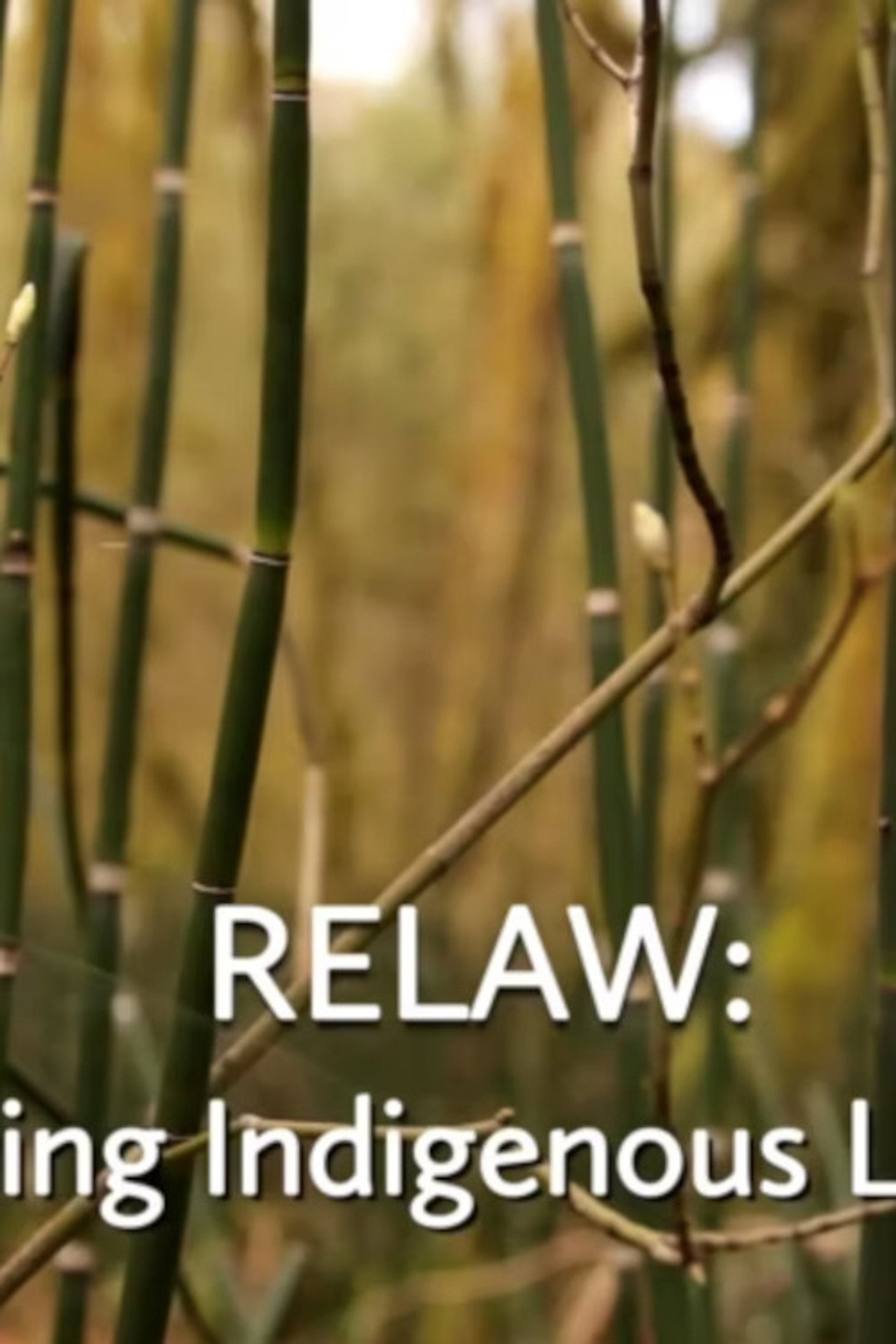 RELAW: Living Indigenous Laws filmaffisch