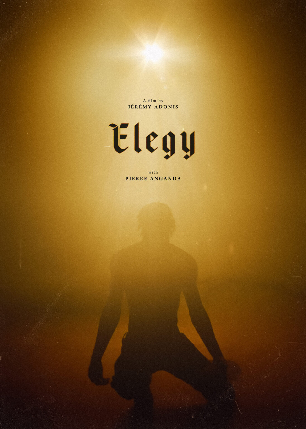 Elegy filmaffisch