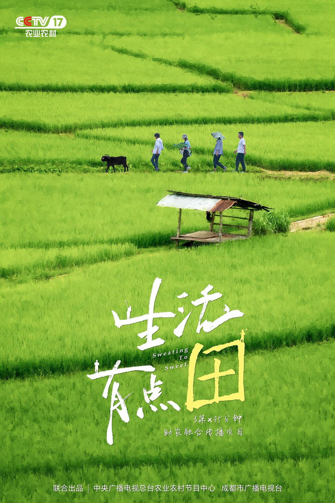 生活有点“田” filmaffisch