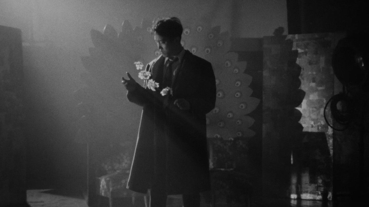 To Sleep So as to Dream backdrop