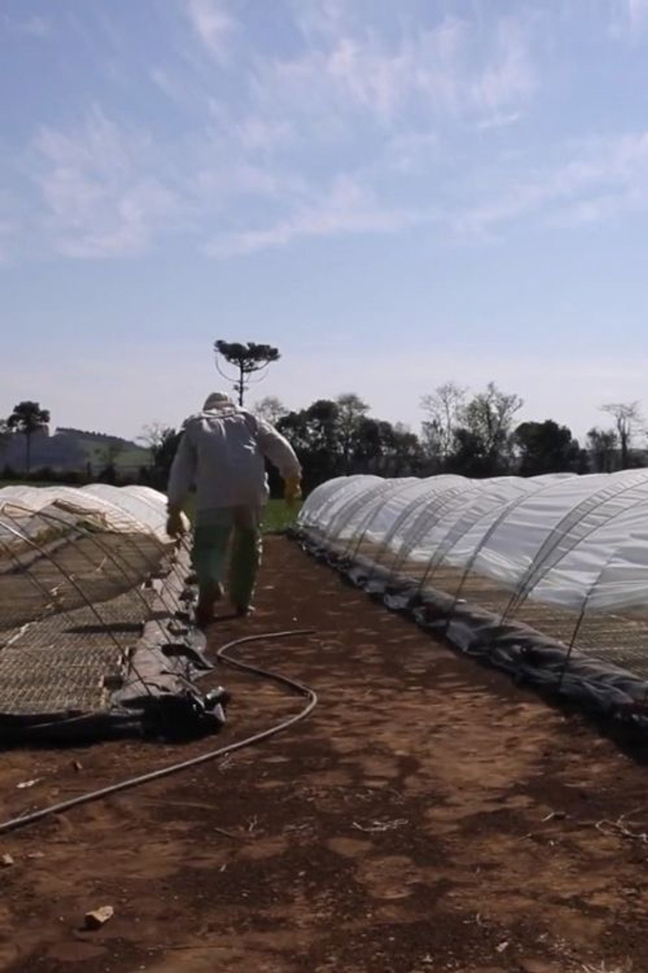 Travessias em Busca da Agroecologia filmaffisch