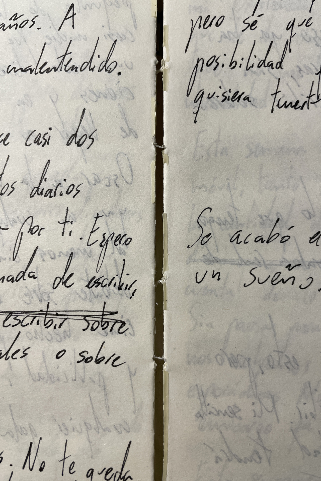 Releyendo mi diario (Autorretrato)