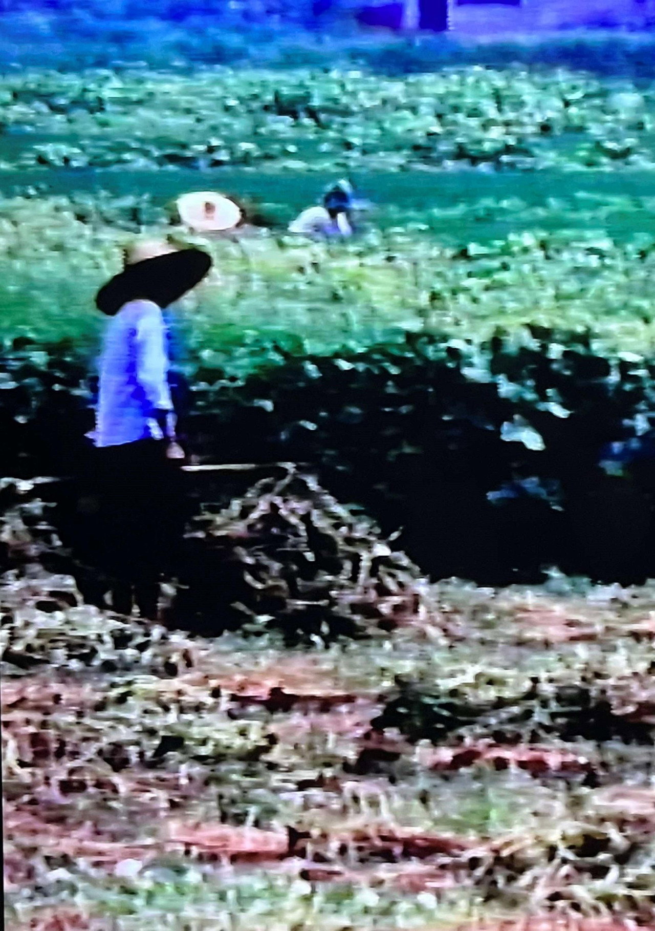 China filmaffisch