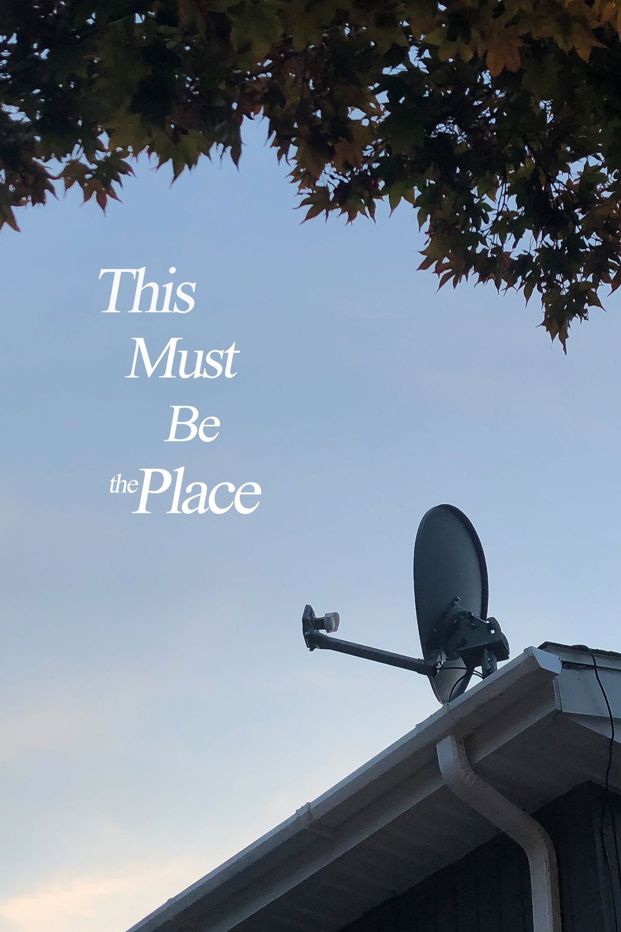 This Must Be the Place filmaffisch