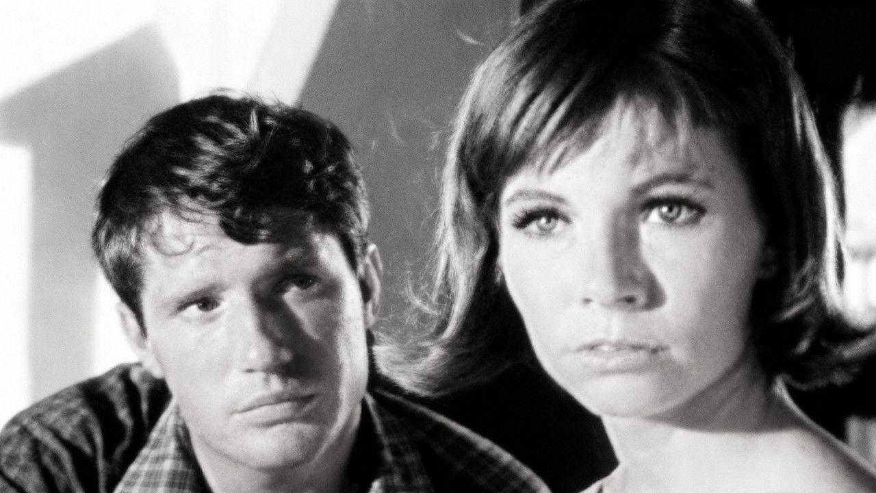 Peyton Place — Épisode 21