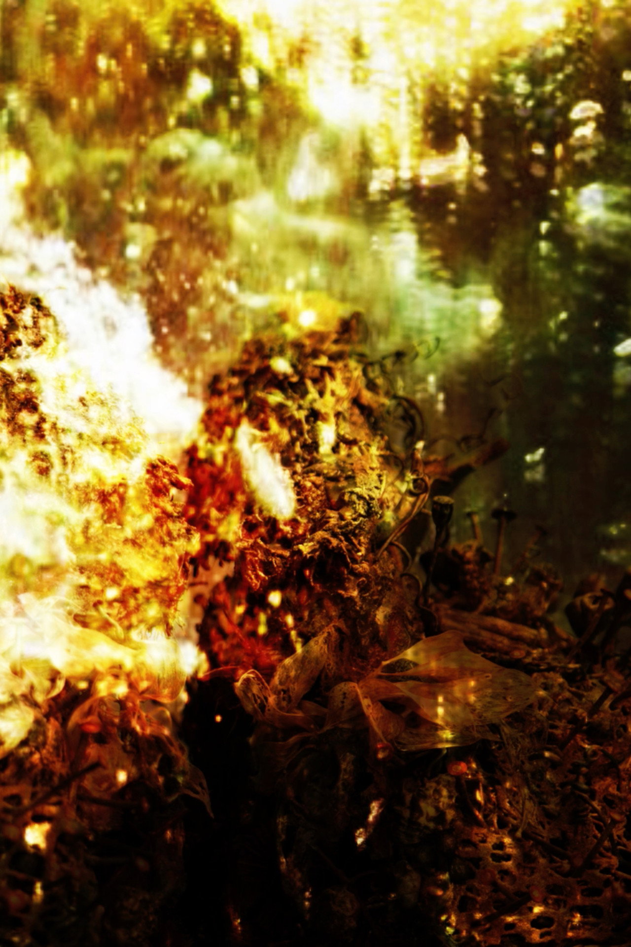 You Got to Burn to Shine