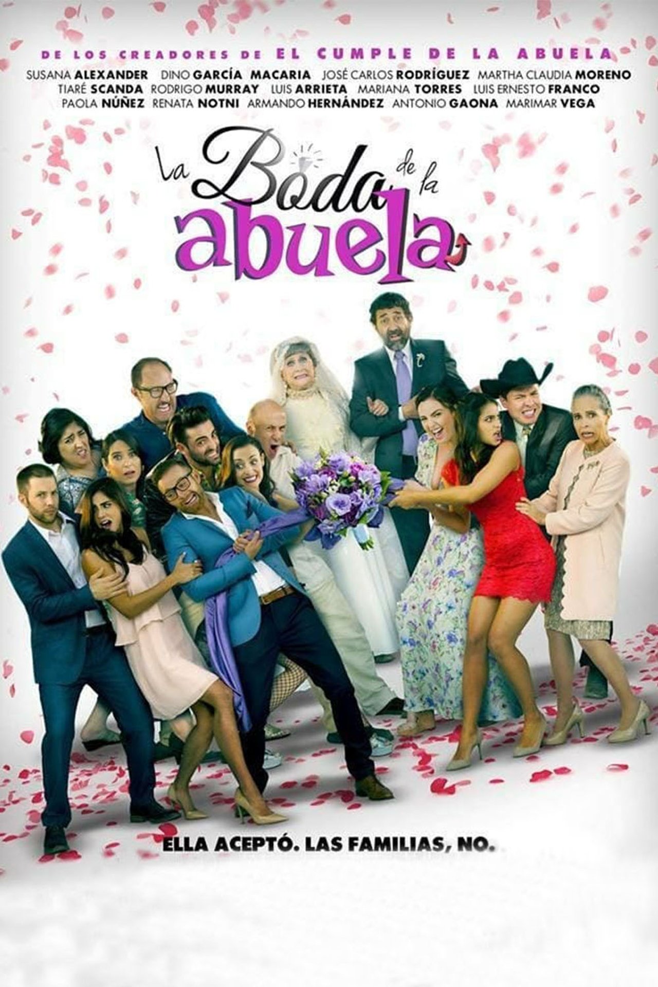 Ver La boda de la abuela (2018) Online Latino HD - Pelisplus