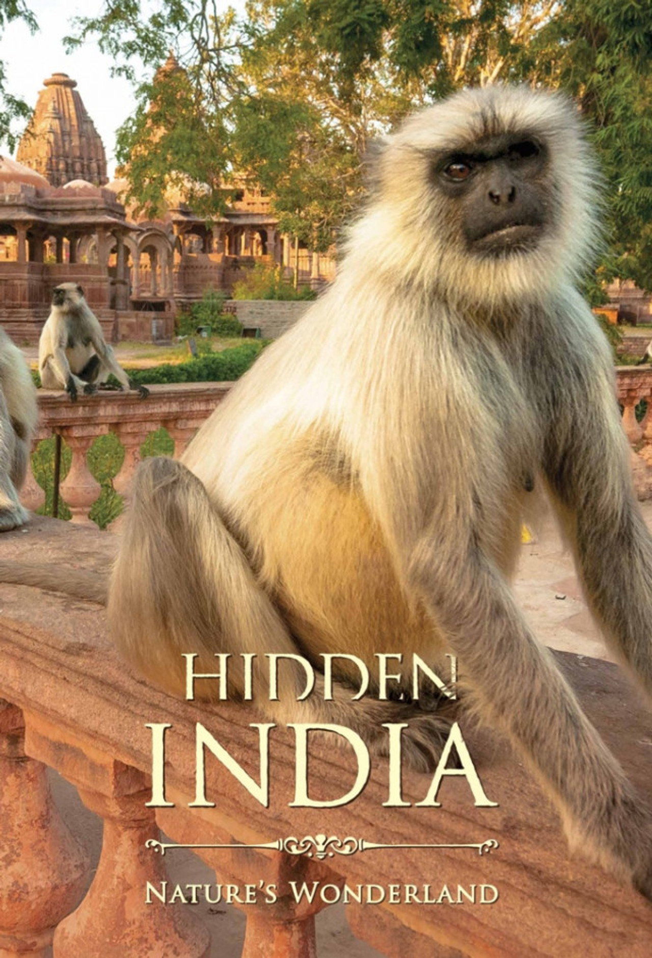 Rejtett India – plakát 3