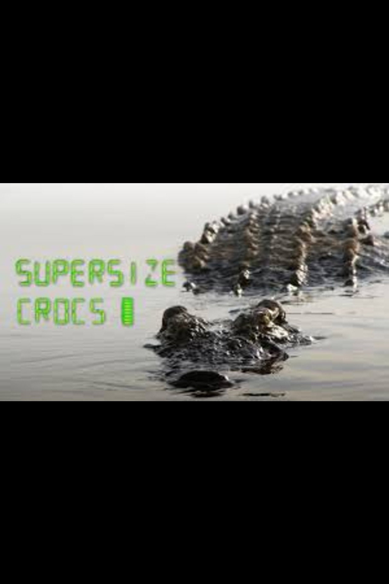Supersize Crocs - Finding the World's Largest Crocodiles Backdrop