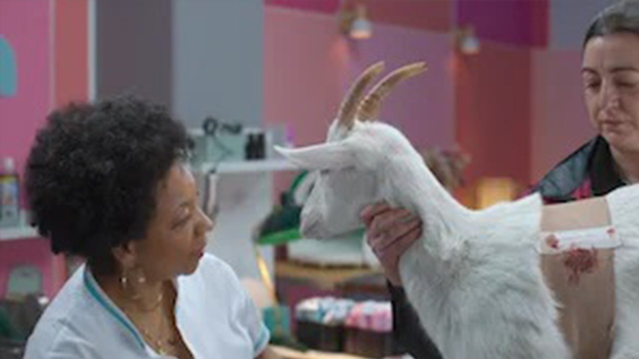 Old Dog, New Tricks - Season 1 Episode 7 : The Visit