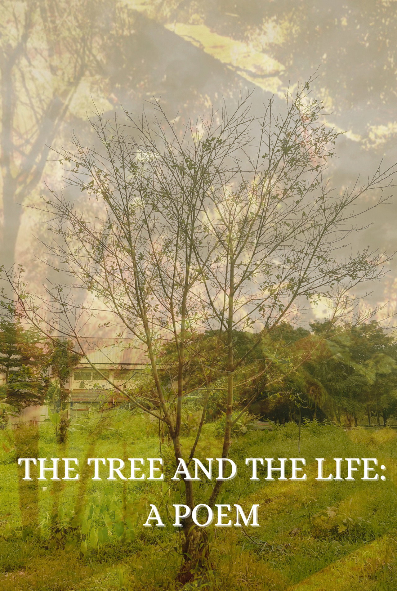 The Tree and the Life: A Poem Backdrop