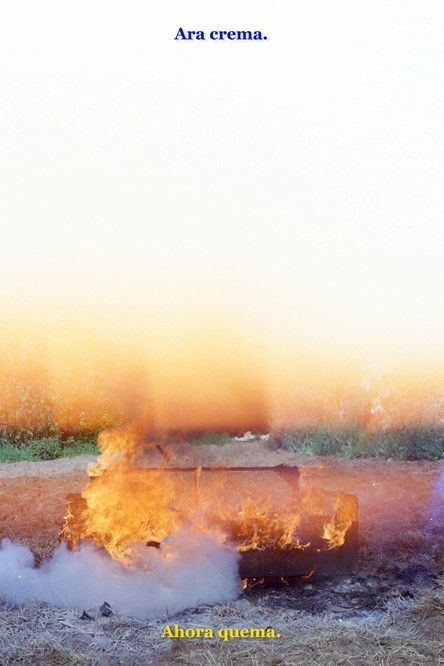 Ara crema poster