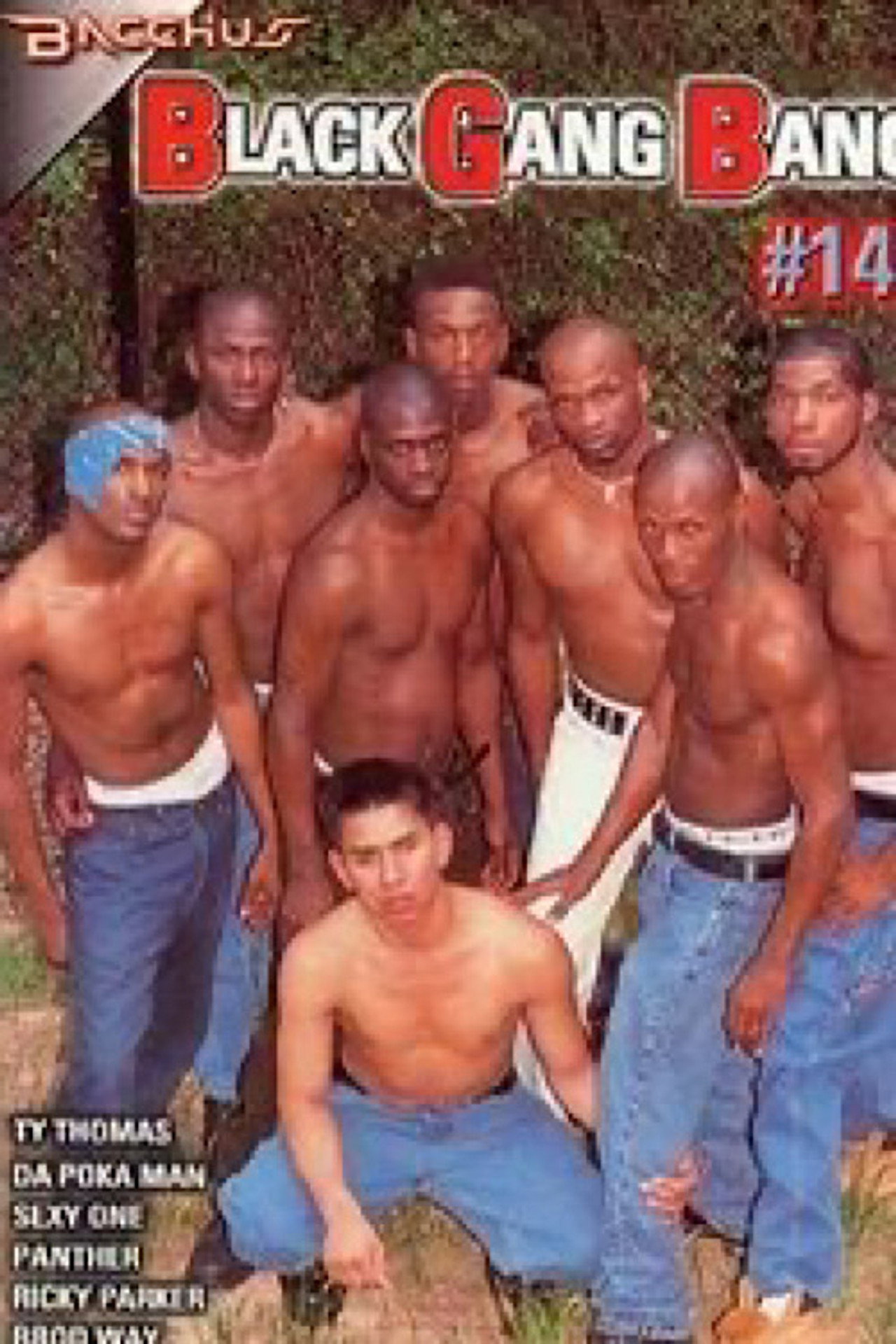 Black Gang Bang 14 filmaffisch