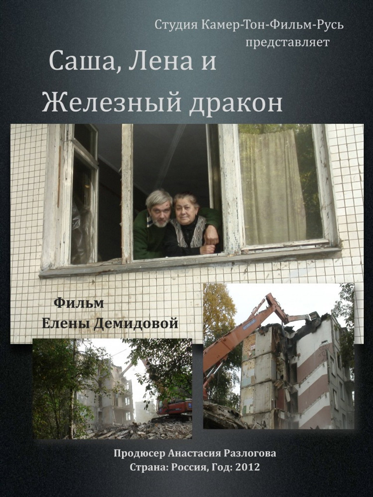 Саша, Лена и Железный Дракон filmaffisch