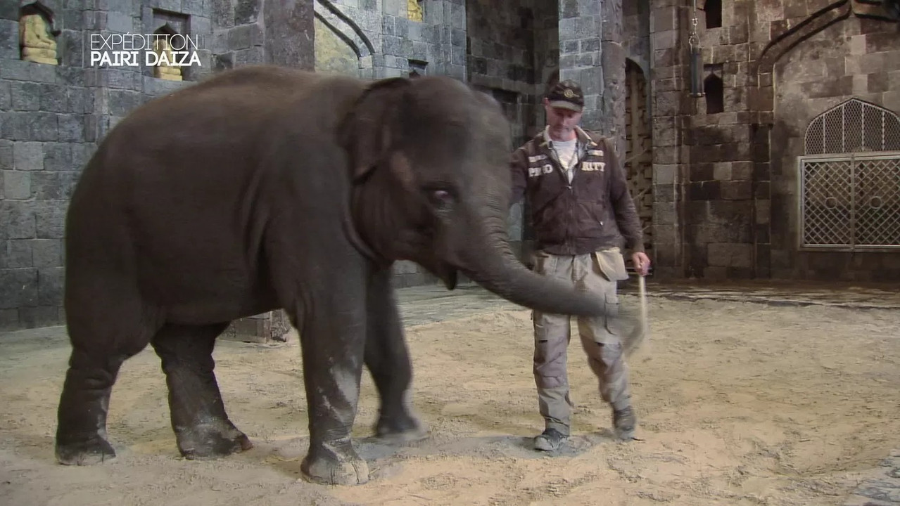 Expédition Pairi Daiza backdrop