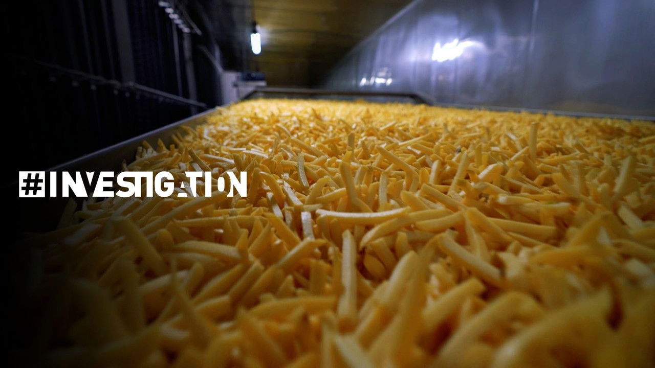 #Investigation — La frite surgelée, un univers impitoyable