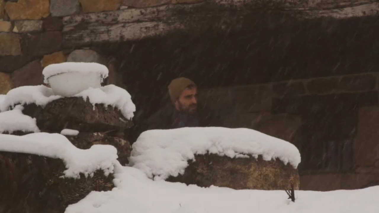 Savages: The Wolf's Tale backdrop