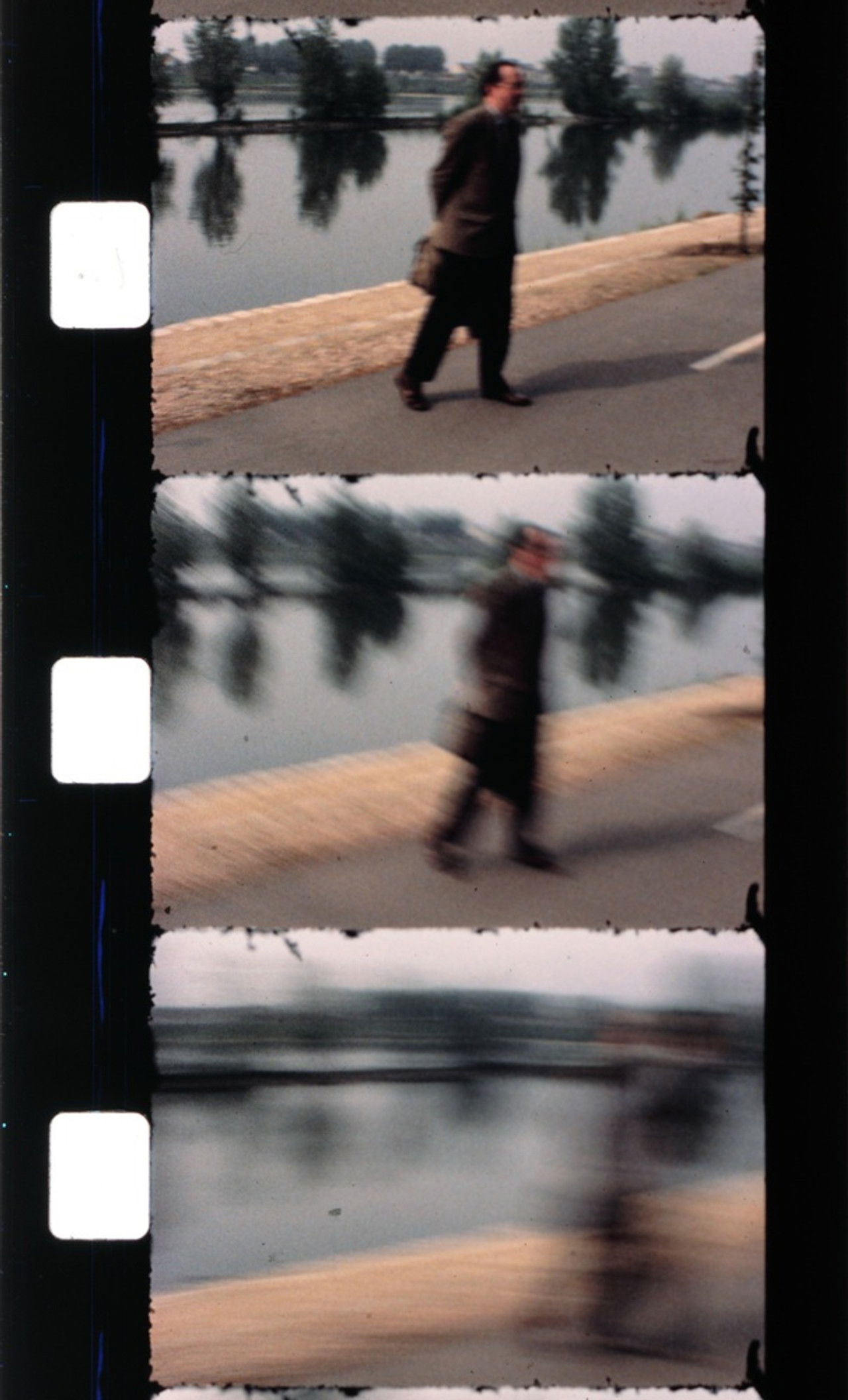 Effeuiller l'acanthe Backdrop