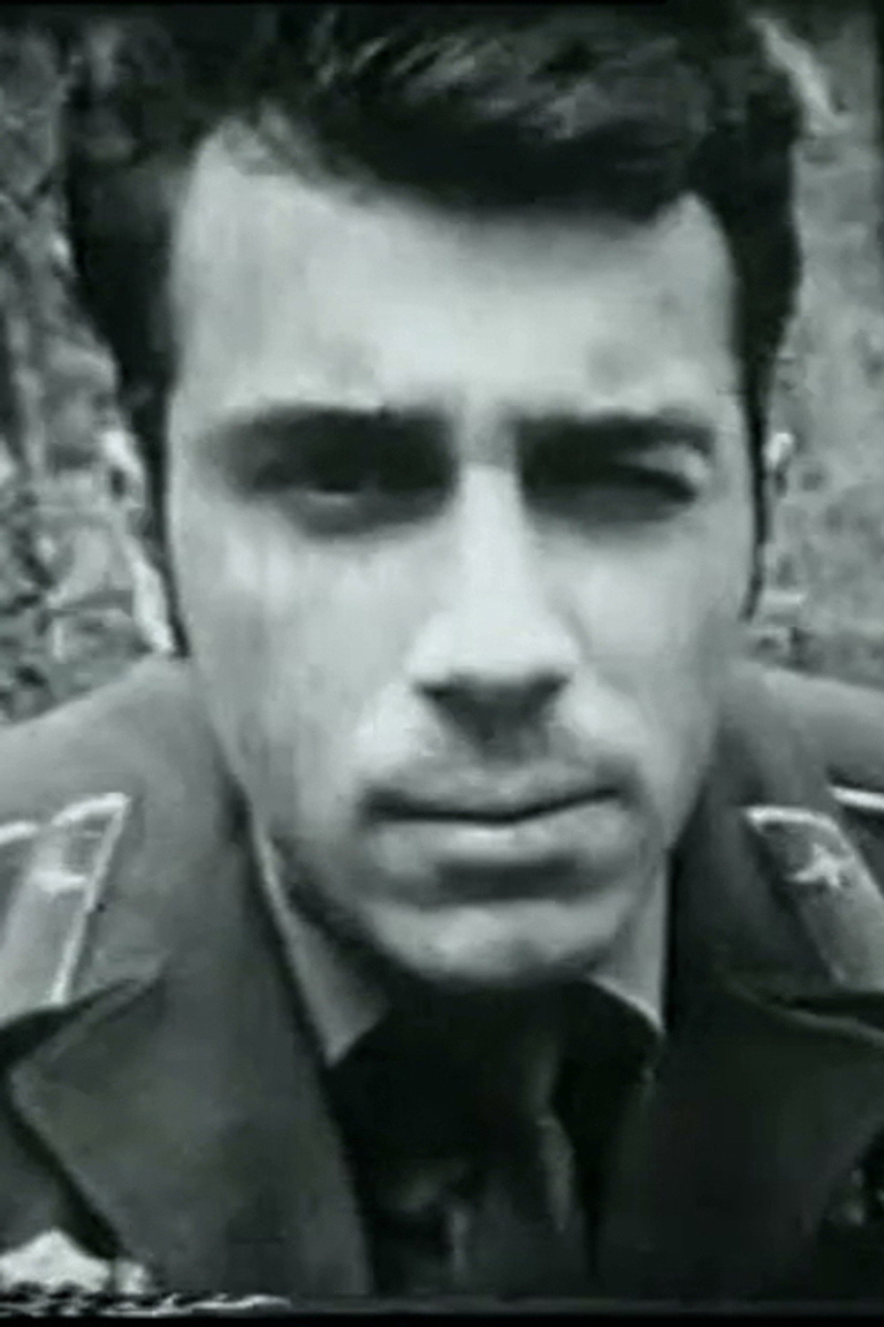 Лесной патруль filmaffisch