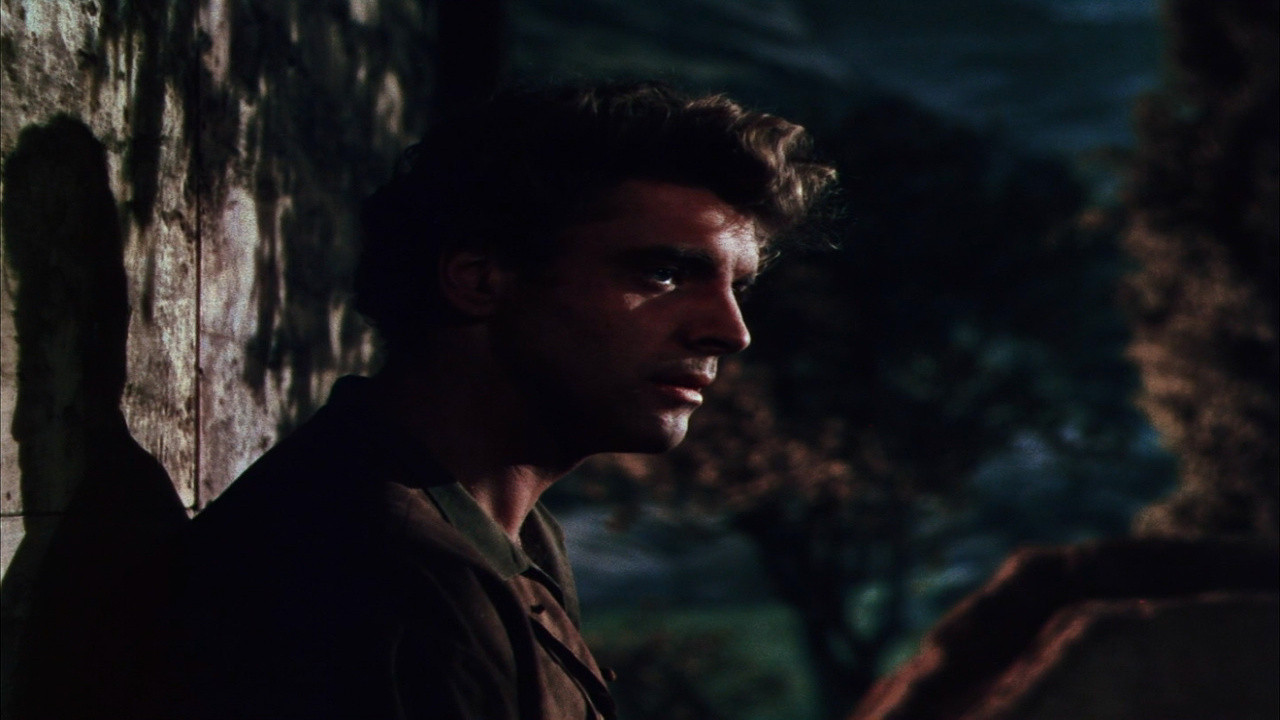 The Flame and the Arrow backdrop