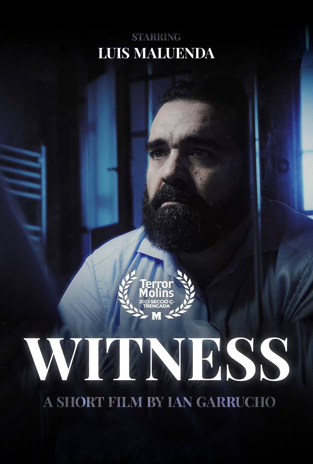Witness filmaffisch