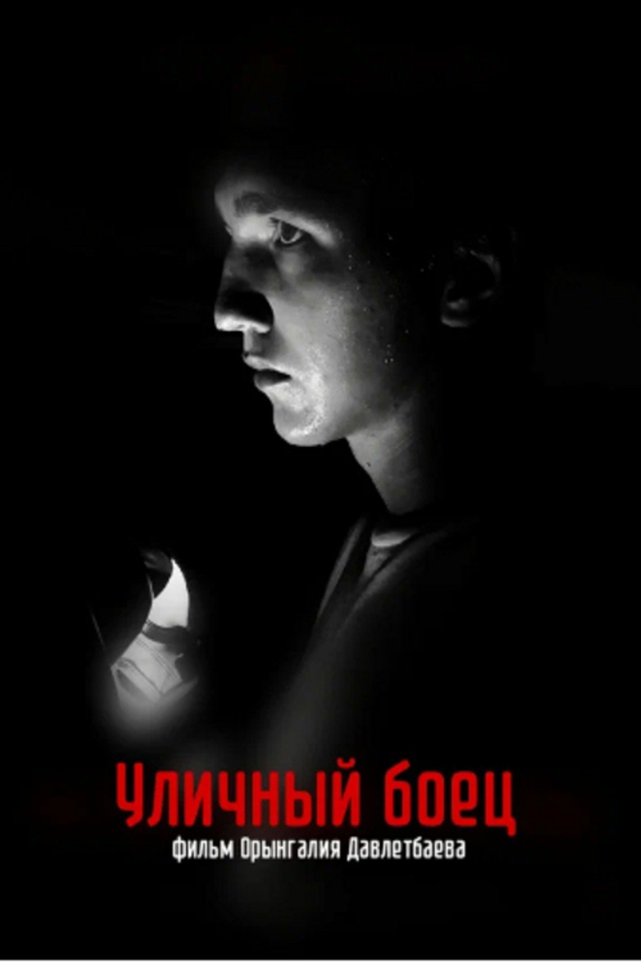 Уличный боец poster