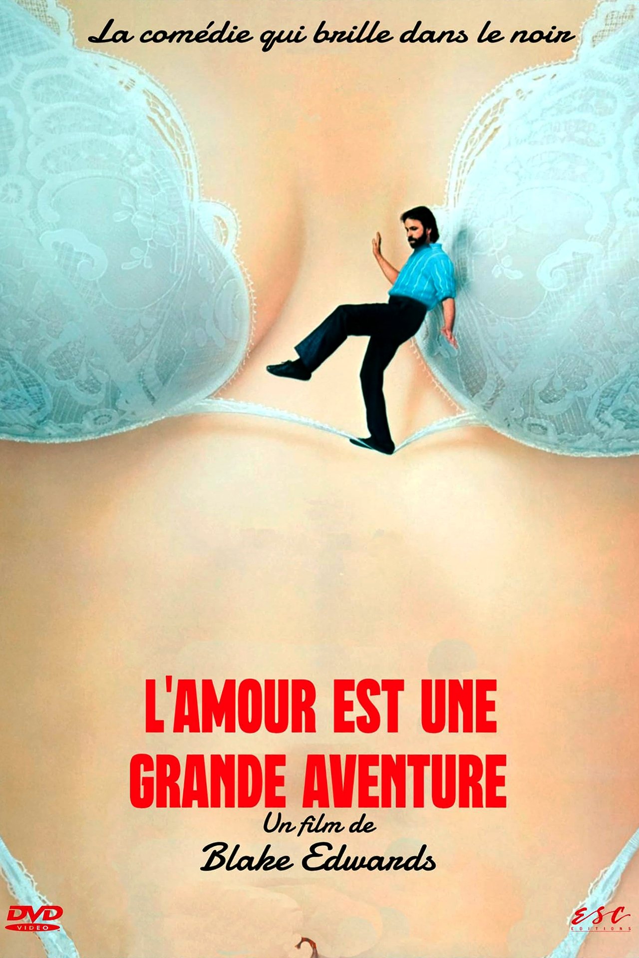 L'amour est une grande aventure poster