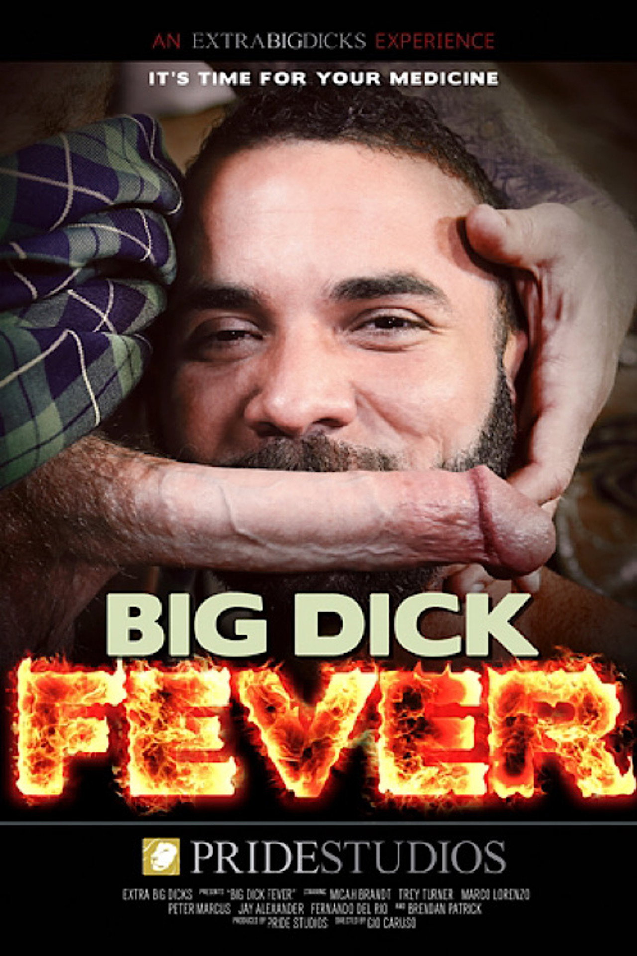 Big Dick Fever filmaffisch