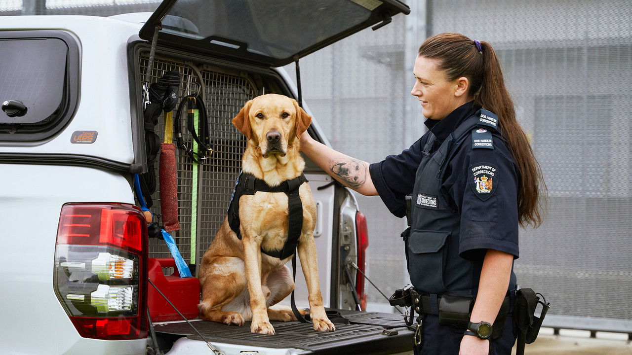 Dog Squad — Épisode 7