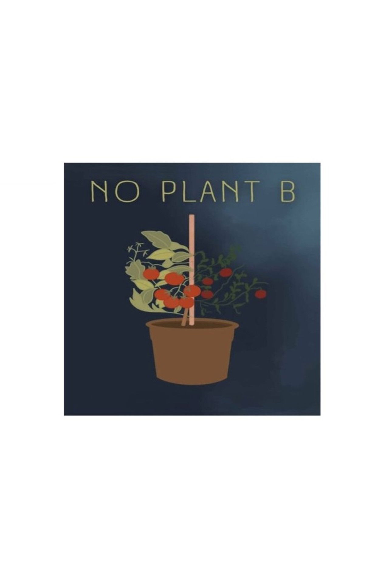 No Plant B Backdrop