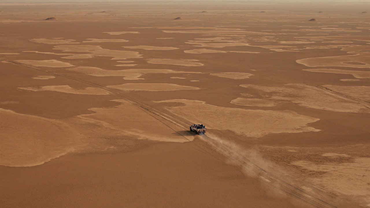 Patience (Sabali) backdrop