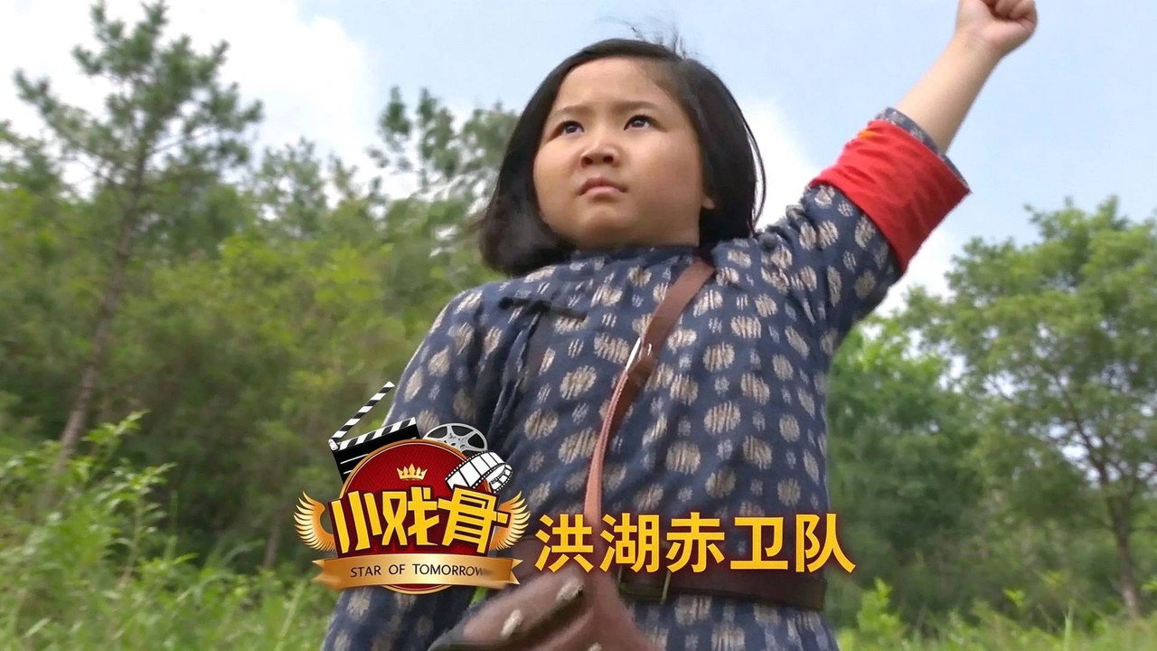 小戏骨：洪湖赤卫队