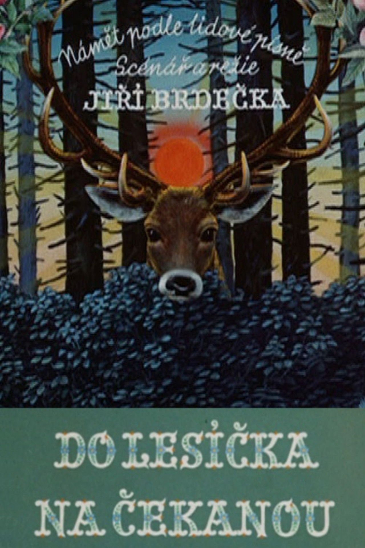 Forester’s Song Backdrop