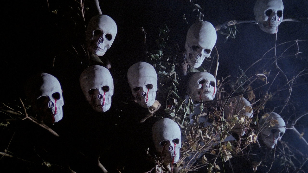 Murder Obsession backdrop