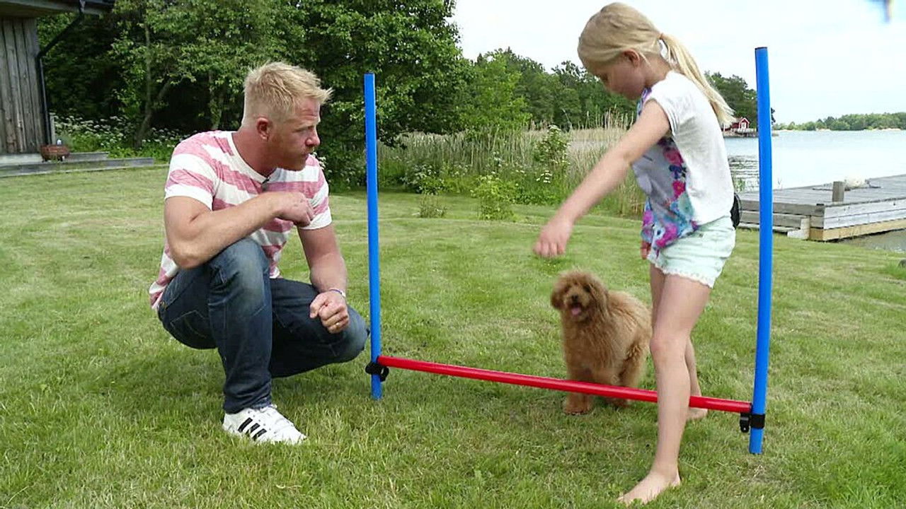 Mitt liv som valp — Épisode 2