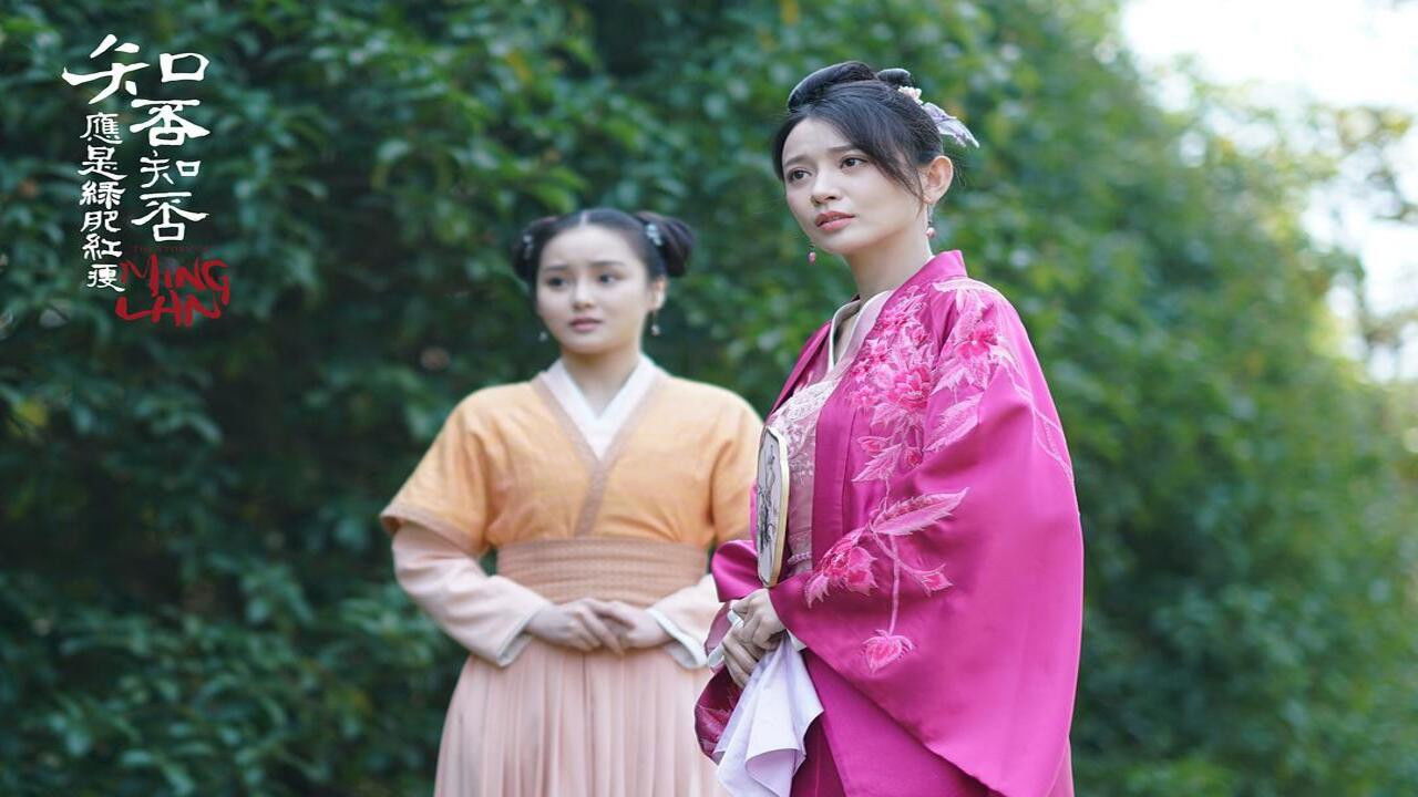 知否知否应是绿肥红瘦 DVD版 — Épisode 30