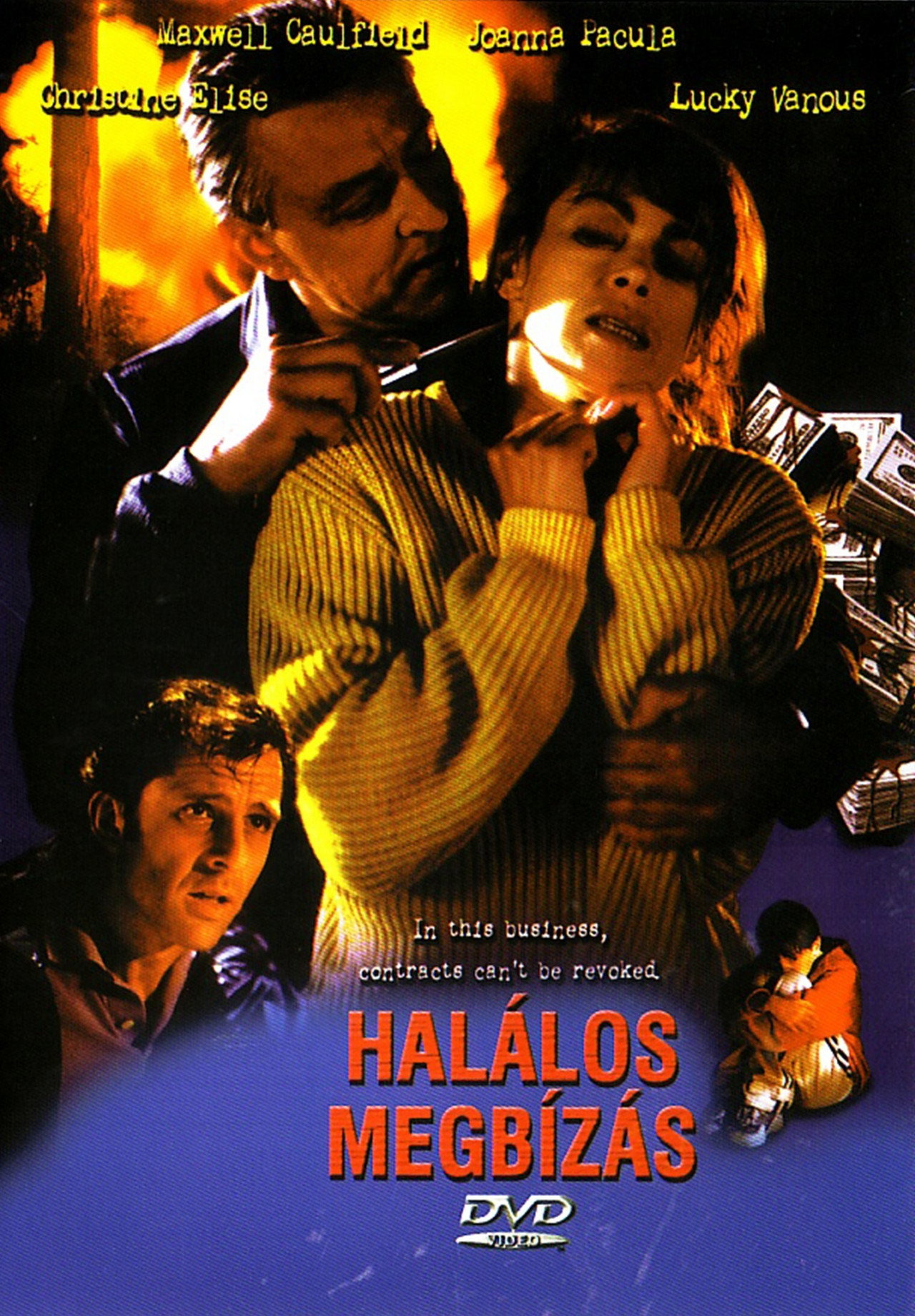 Halálos megbízás – plakát 5