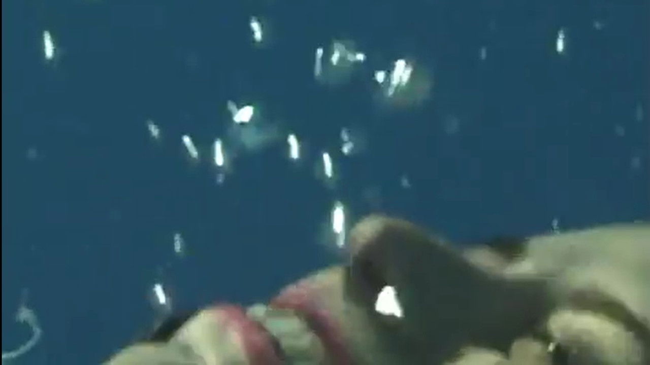 The Defiant Niece backdrop