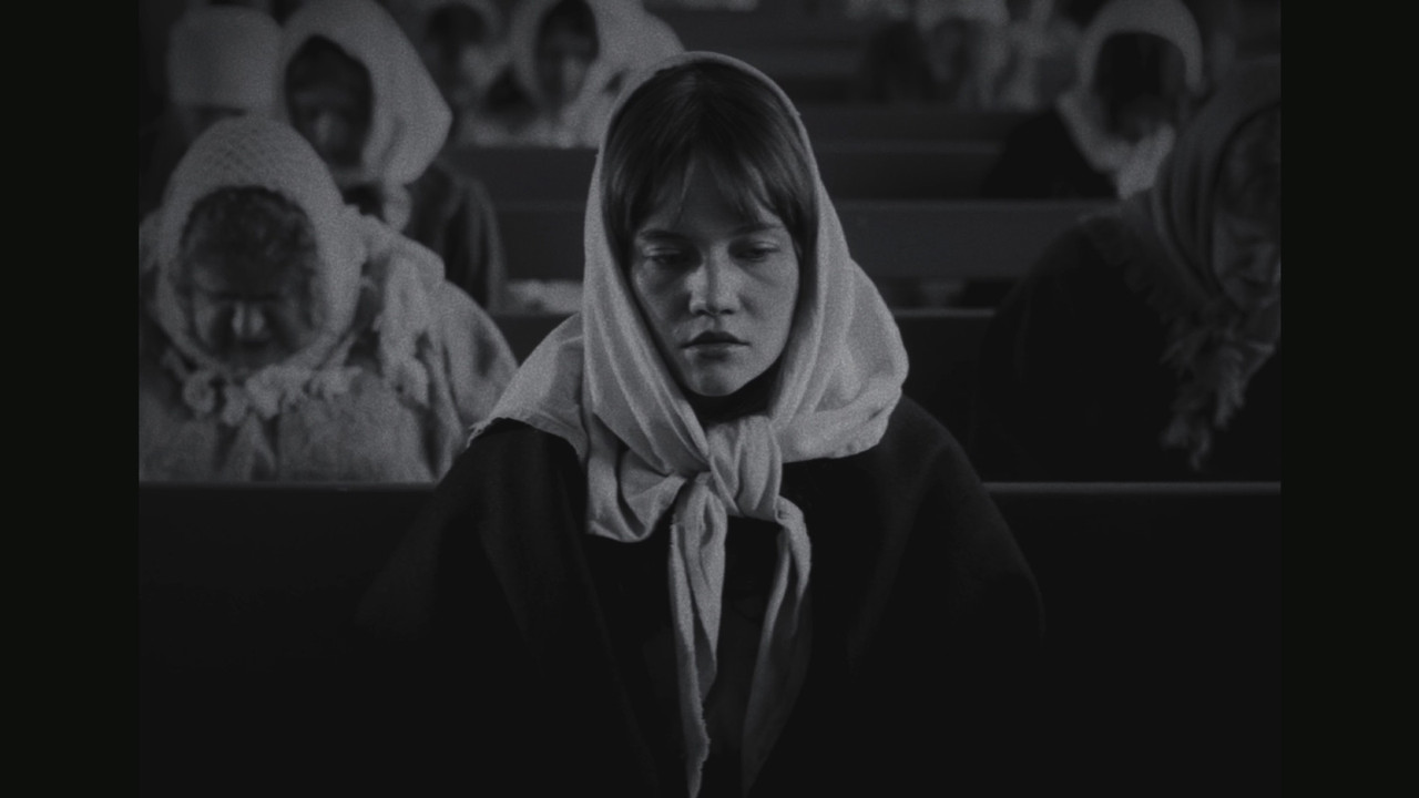 Anumägi still 5