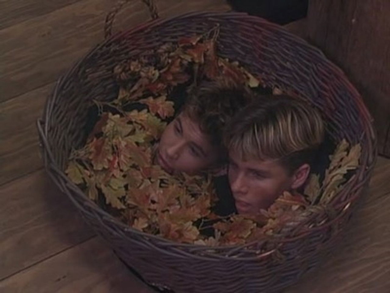 A Night to Dismember