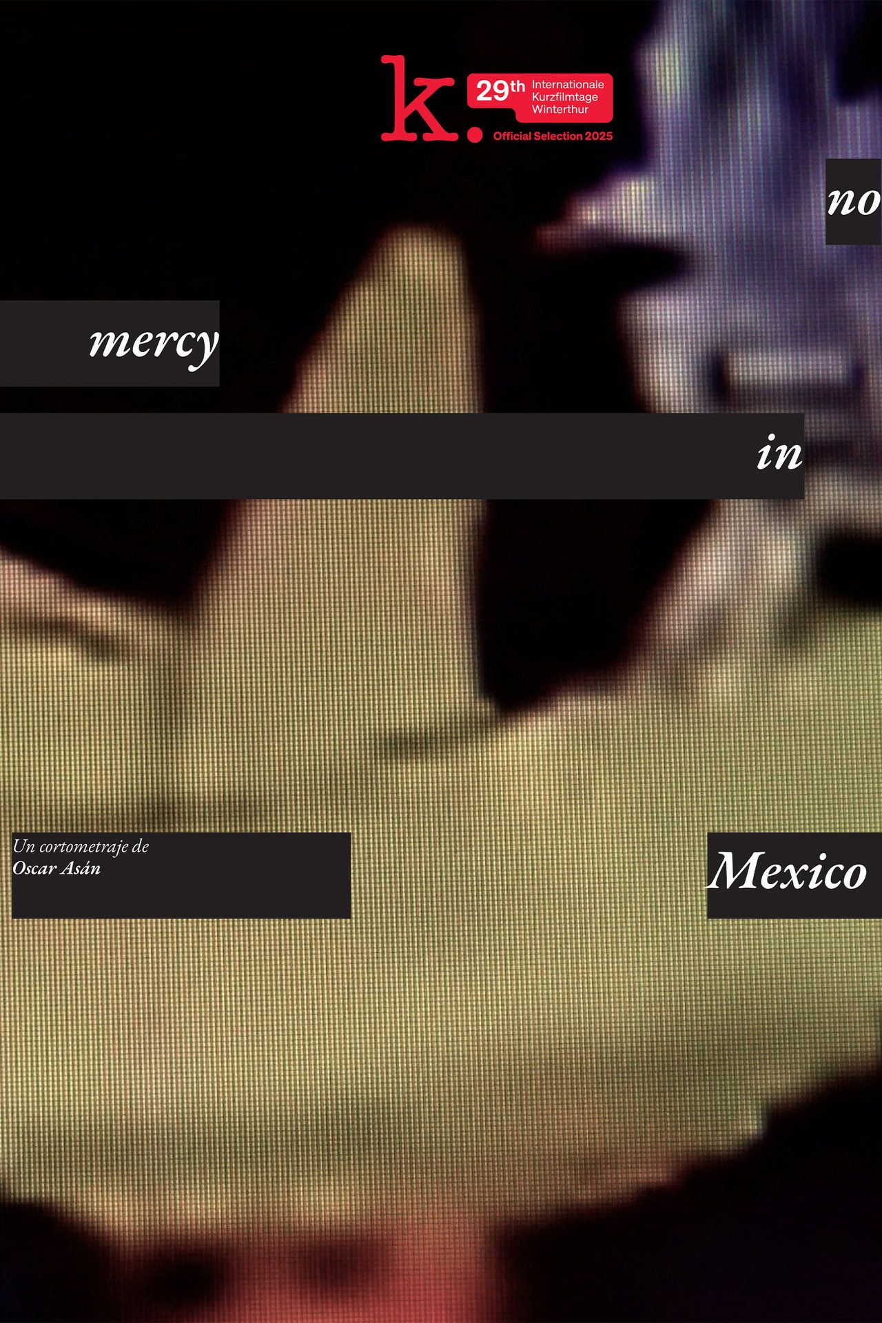 No_mercy_in_Mexico poster