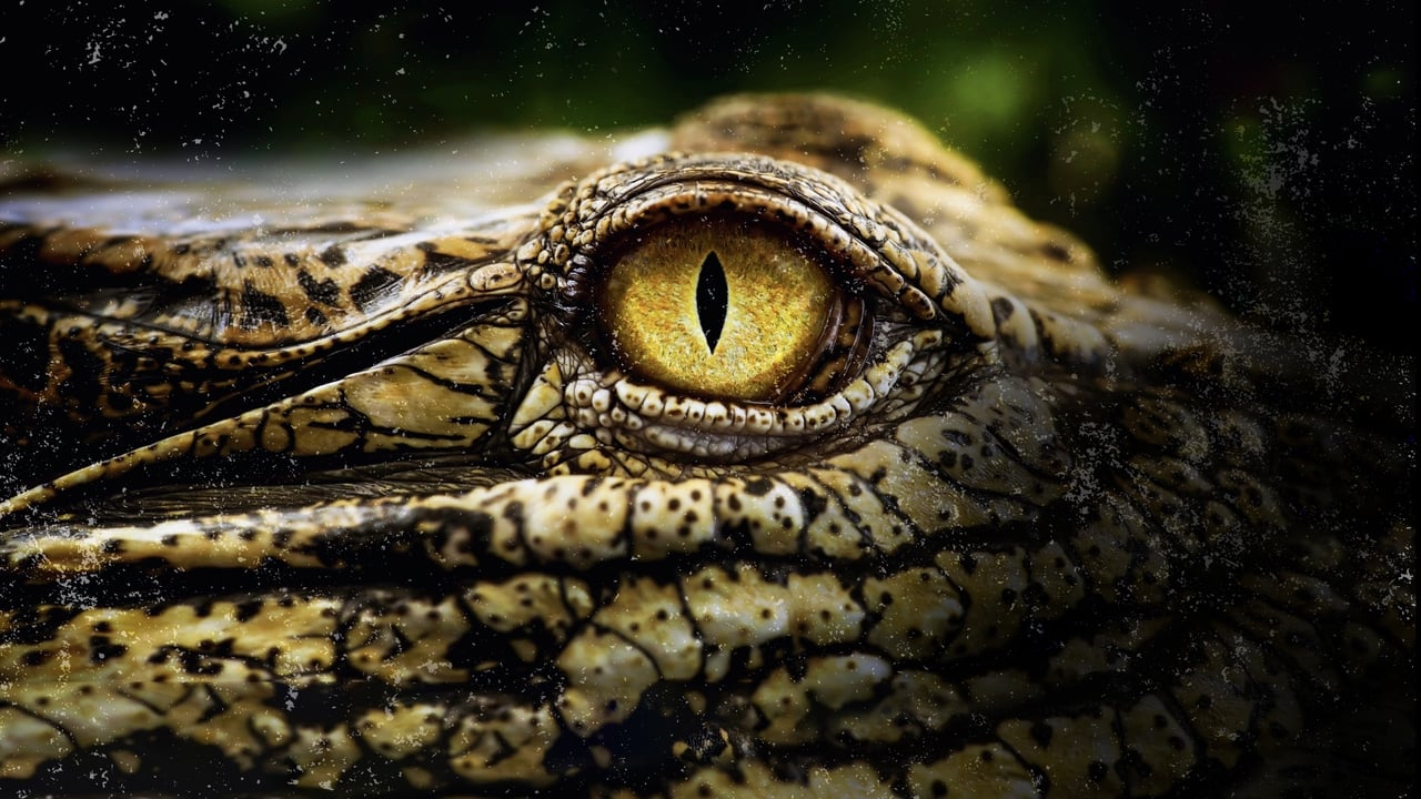 Cast and Crew of Crocodiles Revealed