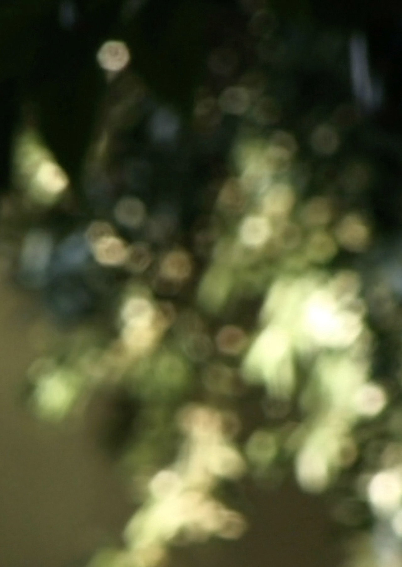 Glimmering filmaffisch