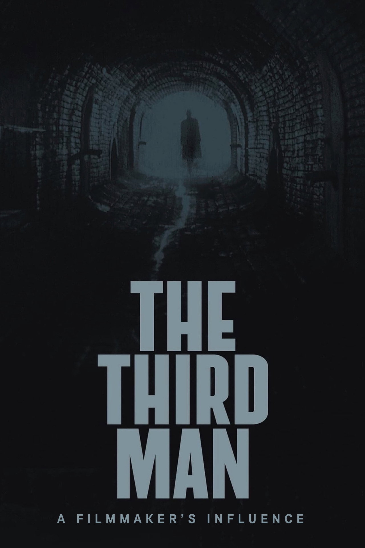 The Third Man: A Filmmaker's Influence filmaffisch