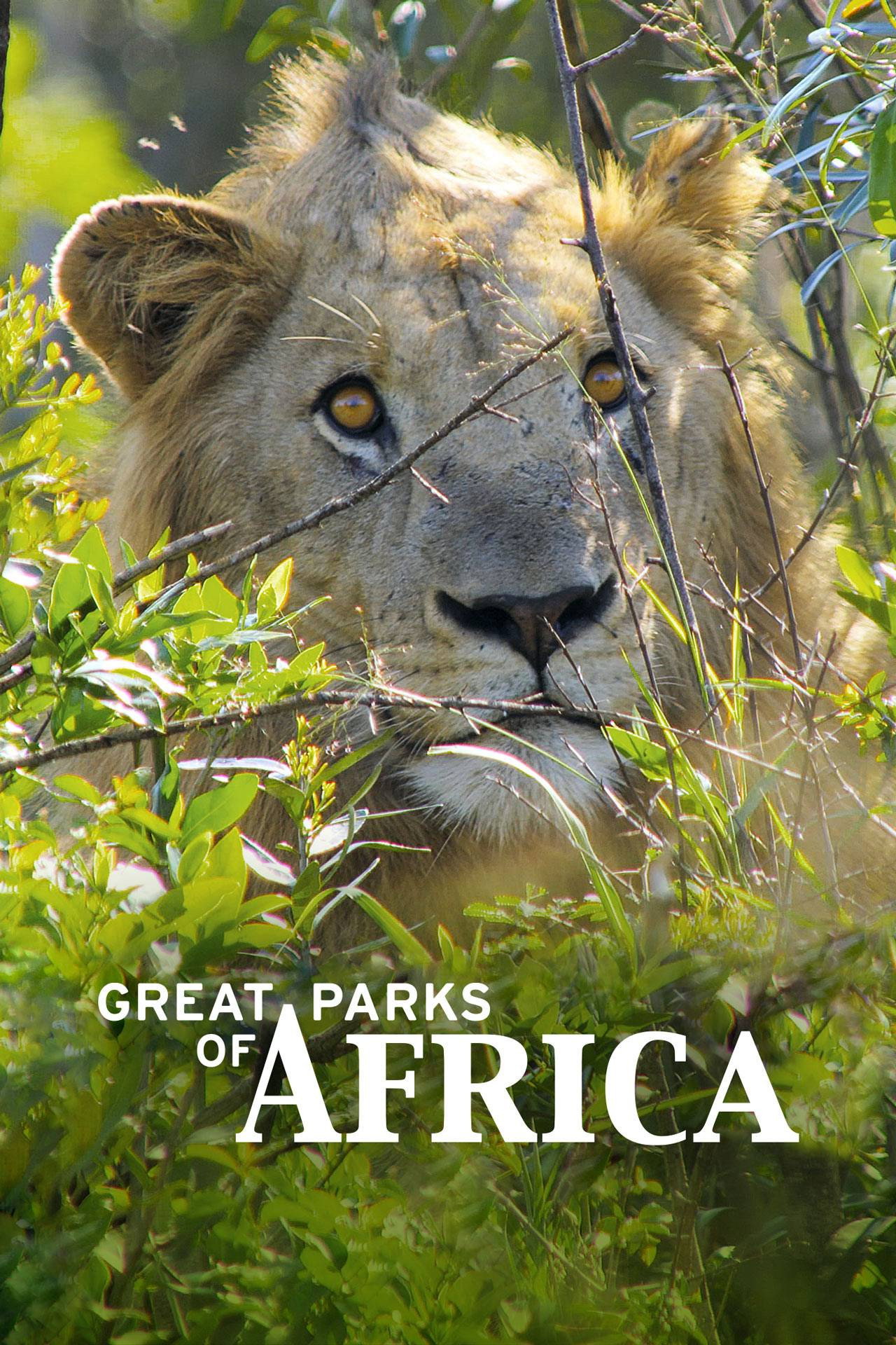 Afrika legszebb nemzeti parkjai – plakát 4