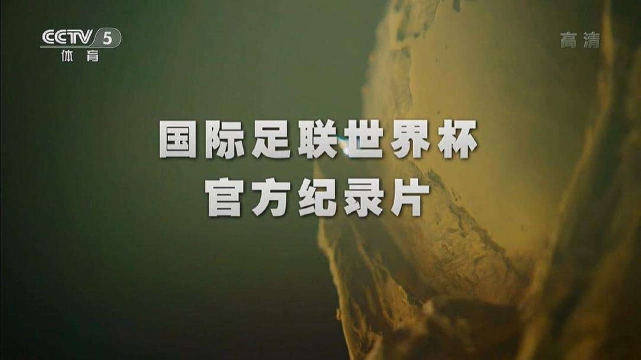 CCTV5世界杯纪录片 - Season 1