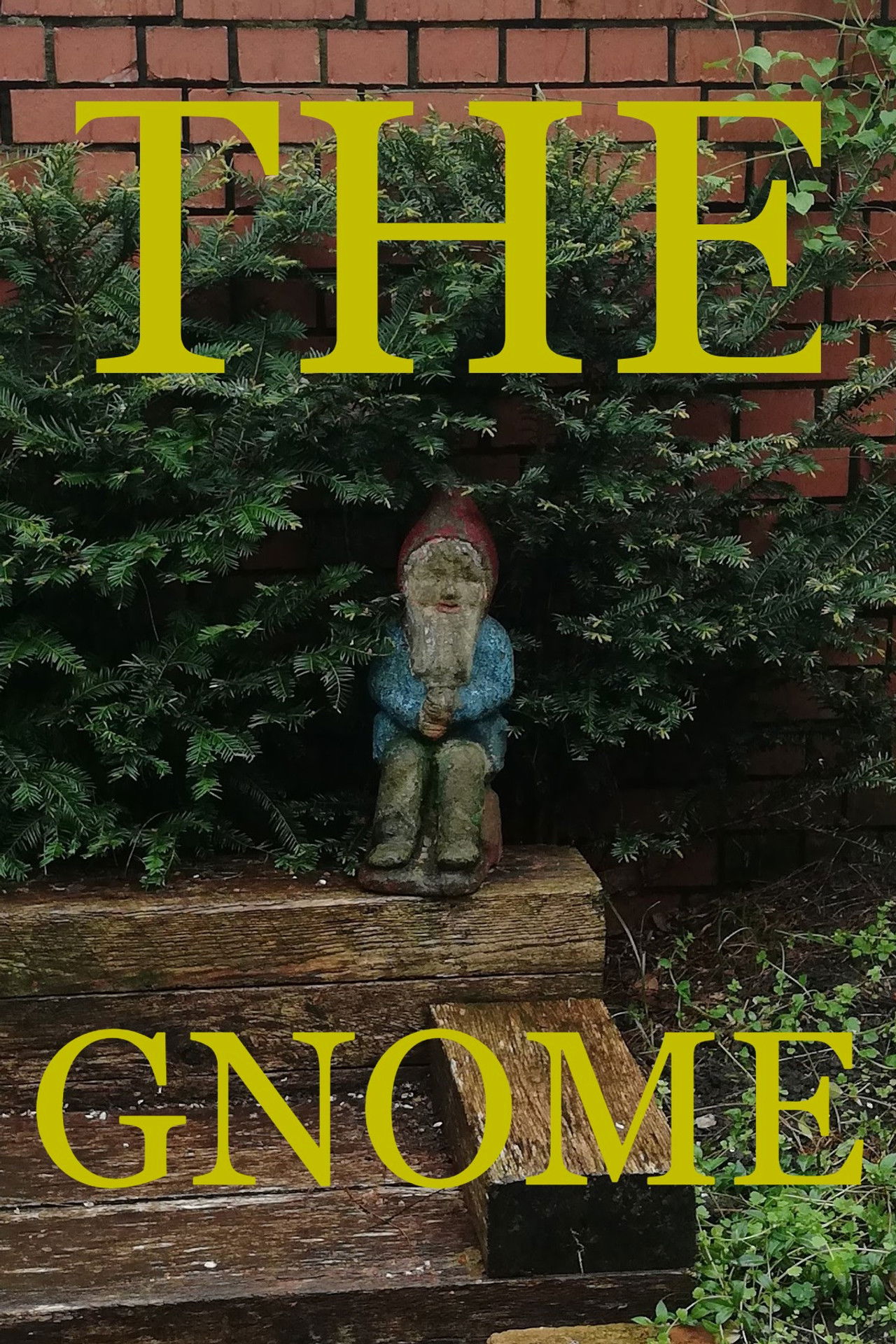 The Gnome Backdrop
