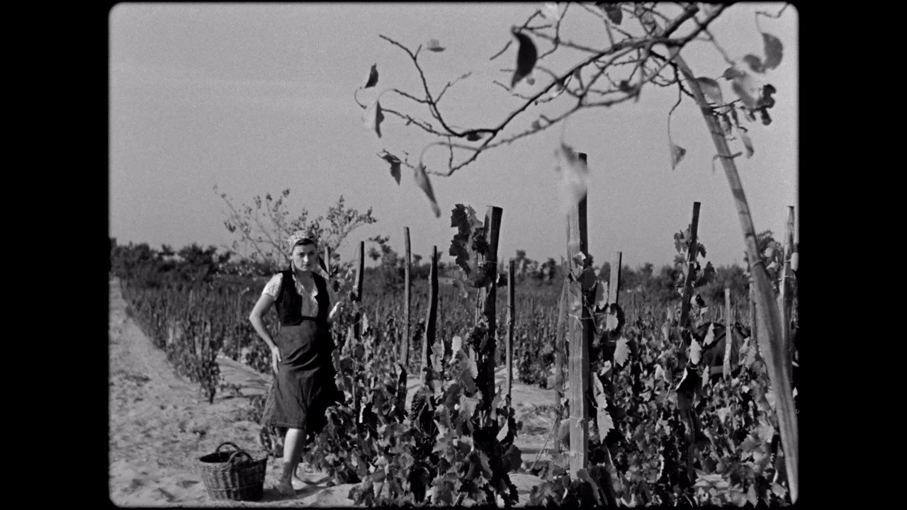 Обои к фильму «Песнь о нивах (1947)» — (15 из 15)