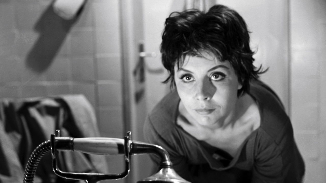 The Eighth Day of the Week backdrop